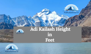 adi kailash height in feet