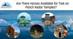 Are There Horses Available for Trek on Panch Kedar Temples