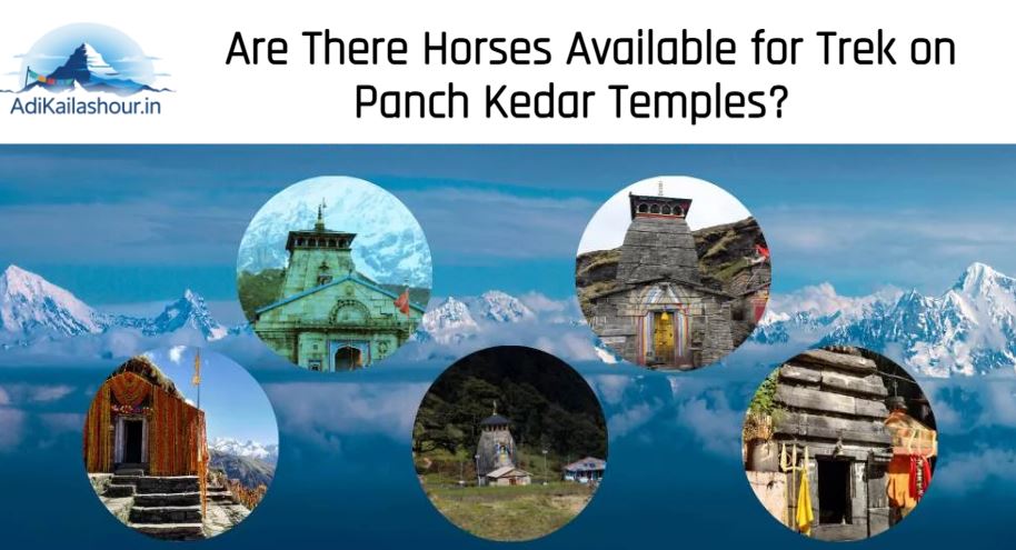 Are There Horses Available for Trek on Panch Kedar Temples